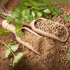 Premium Indian Whole Coriander Seeds & Pure Powder | Eagle, Scooter & Badami Varieties | Export Quality - Image 3