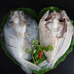 Frozen Fish Export Seafood Fish Price 10kg Weight Variety Sizes Pangasius Butterfly  With HACCP HALAL Certification - Image 3