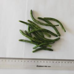 High Quality Vf Cowpea Wholesale Origin China Trademark OEM Packaging Box Model NO. SF-159 Specification whole Production Capacity 500 Tons Per - Image 4
