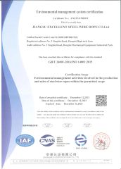 Environmental management system certification certificate from Jiangsu Excellent Steel Wire Rope Co., Ltd