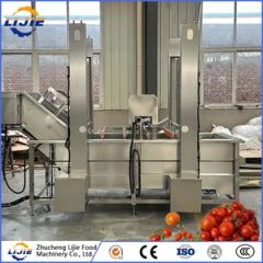 Hot Sale Automatic Factory Price OEM Customized Washing Cleaning Machine for Tomato - Image 4