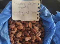 High Grade Sundry Cocoa and coffee available for long term Supplies – product photo 3, product detail gallery