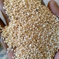 Sesame Seeds WhassApp +237671503419 – product photo 1, product detail gallery