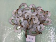 Frozen Vannamei PDTO Shrimp - Image 4