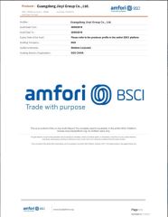 BSCI certificate from Guangdong Jieyi Group Co., Ltd
