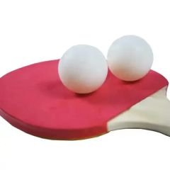 Training Durable Ping Pong Racket Set with Net - Image 4