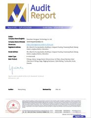 Audit report certificate from Shenzhen Hongyian Technology Co. Ltd