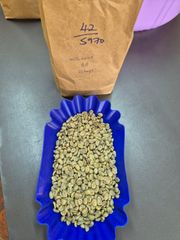 Arabica Coffee