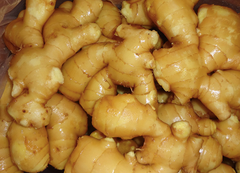 Fresh Ginger - Image 1