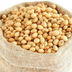 Soybean