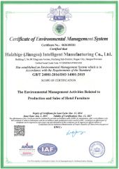 ISO14001 certificate from Hangzhou Realsun Industrial Co., Ltd