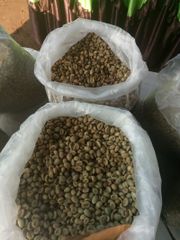 Arabica Coffee (Green Bean Coffee) Type Coffee Bean Weight (kg) 100 g Cultivation Type - Image 1