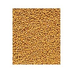 Suppliers provide soybeans for sale with various packaging options for bulk buyers - Image 3