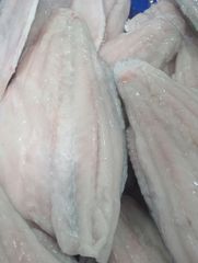 Tilapia Fillets - Image 1