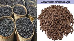 açaí seed biomass - Image 1