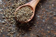 Premium Quality Cumin Seeds Exporter | DHN INTERNATIONAL | Bulk Wholesale Supplier from India - Image 2