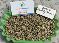 Vietnamese Robusta Green Coffee Beans – product photo 3, product detail gallery