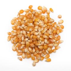 Yellow Corn With Maximum Nutrients Yellow Corn Sourced Directly For Reliable Large Scale Supply - Image 2