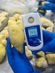 Frozen Monthong Durian, Grade A (with Seed) – product photo 2, product detail gallery