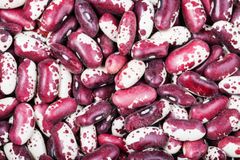 Fresh Red Speckled Beans Whole Dried Pulses Natural Taste High Nutrition Rich Fiber Ideal For Soup Stew Curry And Bulk Food Supply Buy Now Fast Delivery Premium Quality Wholesale - Image 2