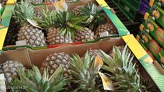 Premium Fresh Kenyan Pineapple – Export Quality | 12kg Box - Image 1