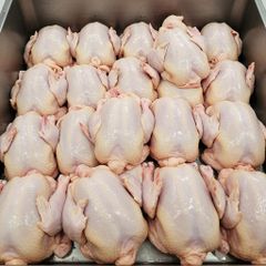 Frozen Chicken Whole or Portions High Quality Fresh and Safe for Retail Restaurants and Food Industry – product photo 5, product detail gallery