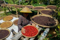 Company – thumbnail 2 of 11, supplier detail gallery