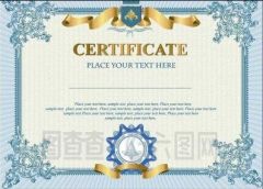 certificate of inspection certificate from Yongzhou Jiaying Printing Co., Ltd.