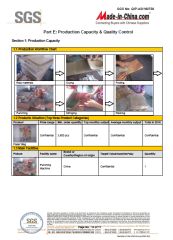 SGS Report -7 certificate from Yiwu Jialan Package Co., Ltd.