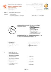 E-mark(DH-15T) certificate from Danyang Feilun Gas Valve Co., Ltd.