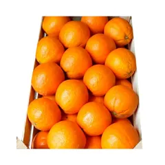 Fresh Mandarin Type Orange Style Fresh Maturity 0.9 Weight 10 Kg Size 7-10 Cm Color Orange Calibre 1 2 3 Model Number 4 Content Orange - Image 1