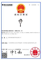 MONKEY LOGO34 certificate of Shenzhen Lovisle Technology Co., Ltd. – certificate photo, supplier certificates section