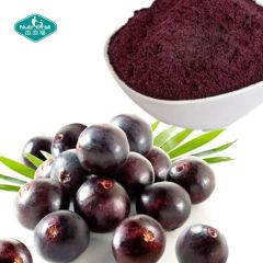 Fruit Extract 100 Natural Freeze Drying Acai Berry Extract Concentrate Juice Powder - Image 3