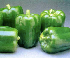 Fresh Green Capsicum - Image 4