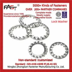 Metric Toothed Lock Washers with Internal Teeth - Image 2