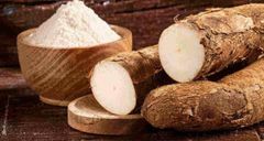 Tapioca Starch - Image 1