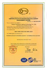 ISO4500S Occupational health and safety management system certificate from Jiangsu Intelligent Lighting Technology Co., Ltd.