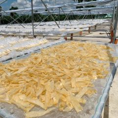 Premium Sun-Dried Fish Whole from Vietnam for Wholesale - Export-Grade High-Quality - Image 5