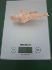 PREMIUM QUALITY FROZEN CHICKEN FEET – product photo 5, product detail gallery