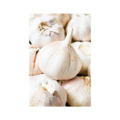 Cheap Price Wholesale Fresh Peeled Garlic For Sale In bulk - Image 1