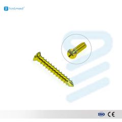 Maxillofacial Surgery Instruments Orthopedic Implants Titanium 2.4mm Self-Tapping Screw for Facial Surgery - Image 1