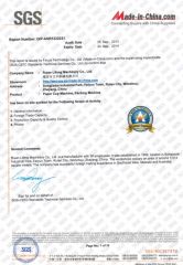 SGS certificate from Wenzhou Toppro Machinery Co., Ltd.