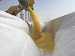 SULPHUR GRANULES - Image 2