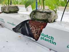 Coco Blocks, Growbags - Image 1
