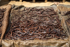 VANILLA – product photo 1, product detail gallery