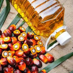 High Quality Refined Palm Oil Wood Oil 100% Pure France Origin for Cooking Use Cheap Price Wholesale 5L 24 Months Shelf Life - Image 1
