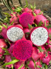 Dragon Fruit - Image 1