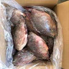 Best price frozen Whole Black Tilapia Cleaned or Uncleaned wholesales export - Image 3