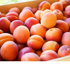 Fresh Apricot Grade A, A Style Fresh Color Orange Type Apricot Weight (kg) 50, 50 Model Number 5556423 Taste Natural - Image 2