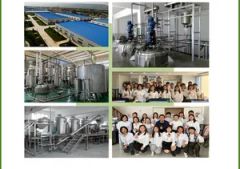Cloves Oil Natural Organic Pure Clove Essential Oil - Image 6